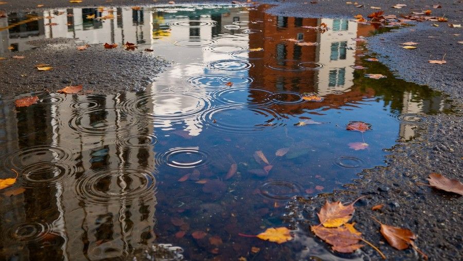 Puddles with stagnant water