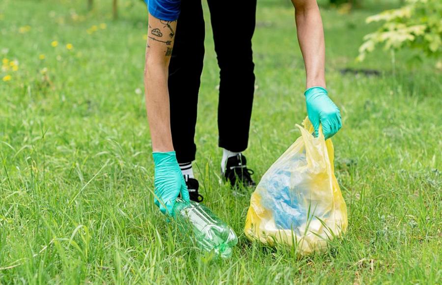 Remove Litter and Remove Water-Holding Items